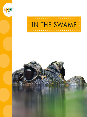cover image of In the Swamp